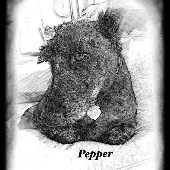 Meet your Posher, Rhonda - Picture 1 of 1